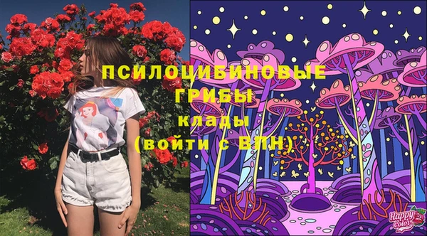герыч Нязепетровск