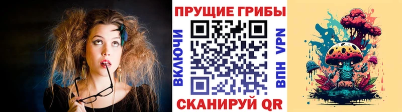 площадка какой сайт где купить наркоту Нюрба Галлюциногенные грибы Cubensis